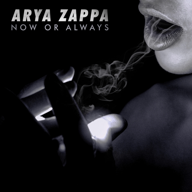 Couverture de Now or Always