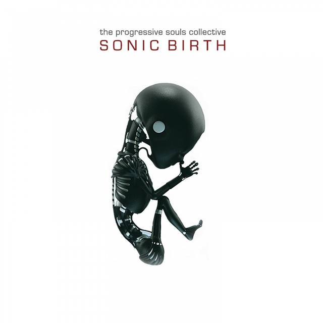 Couverture de Sonic Birth