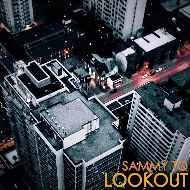 Couverture de Lookout