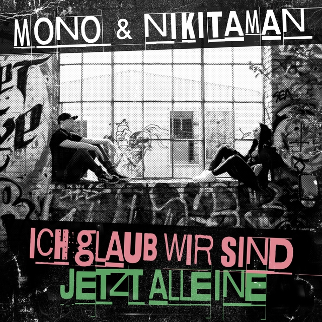 Couverture de Ich glaub wir sind jetzt alleine