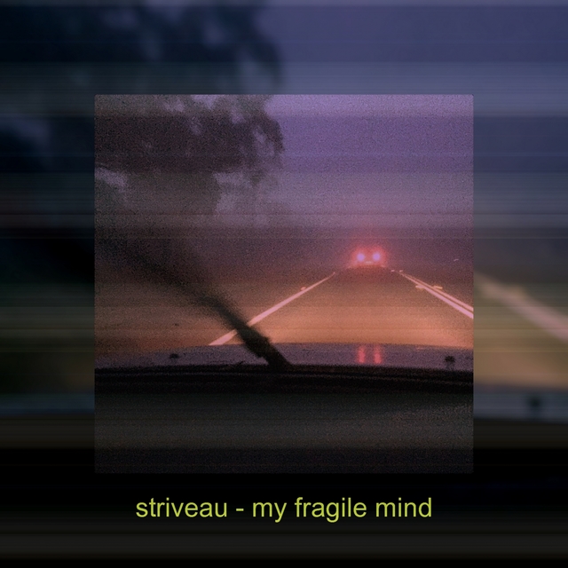 Couverture de My Fragile Mind