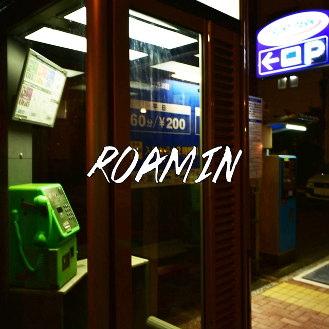 Couverture de Roamin