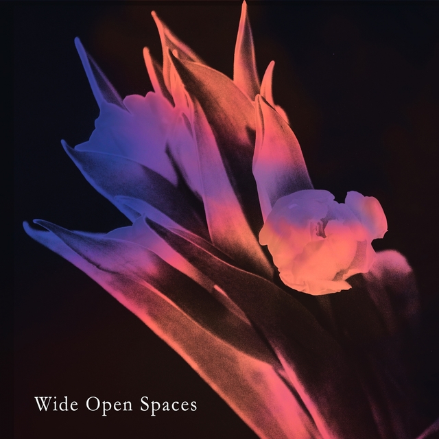 Couverture de wide open spaces