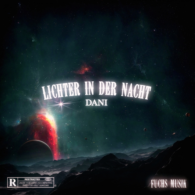 Couverture de Lichter in der Nacht