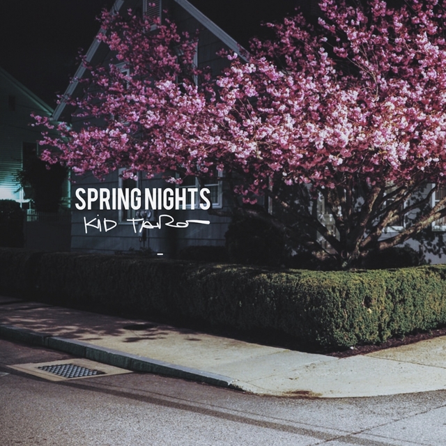 Couverture de Spring Nights