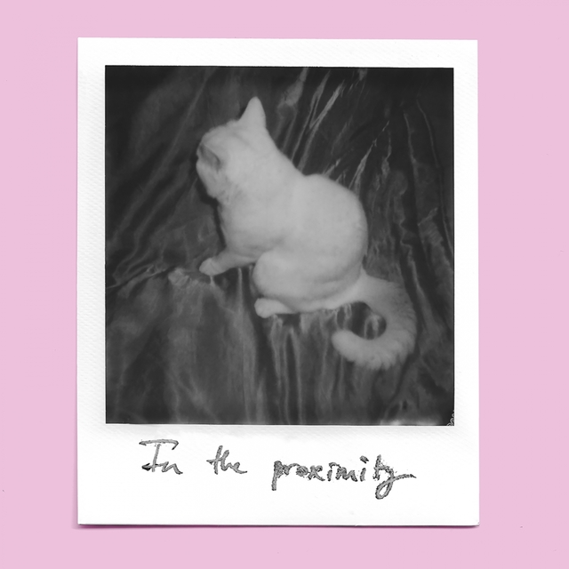 Couverture de In the Proximity