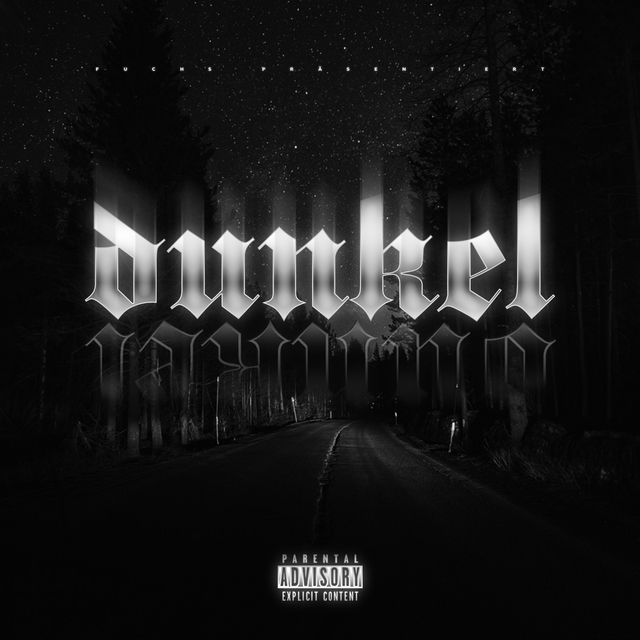 Couverture de Dunkel