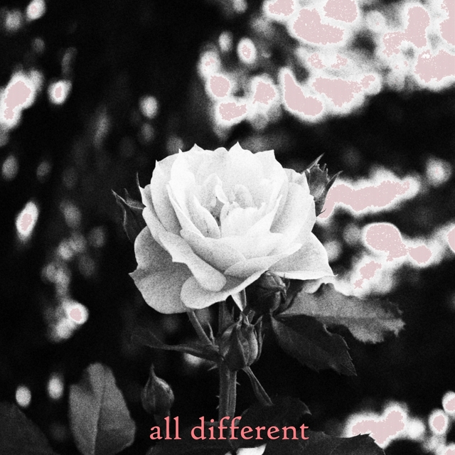 Couverture de All Different