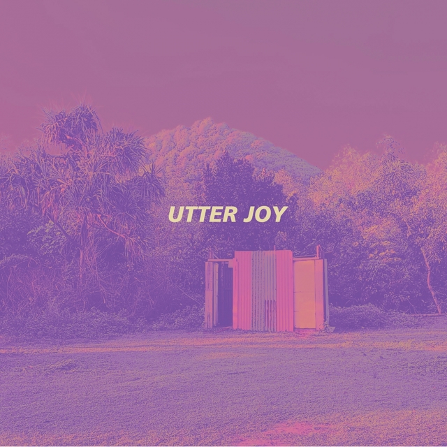 Couverture de Utter Joy