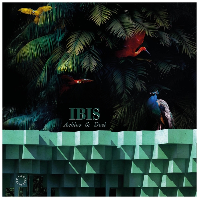 Couverture de Ibis