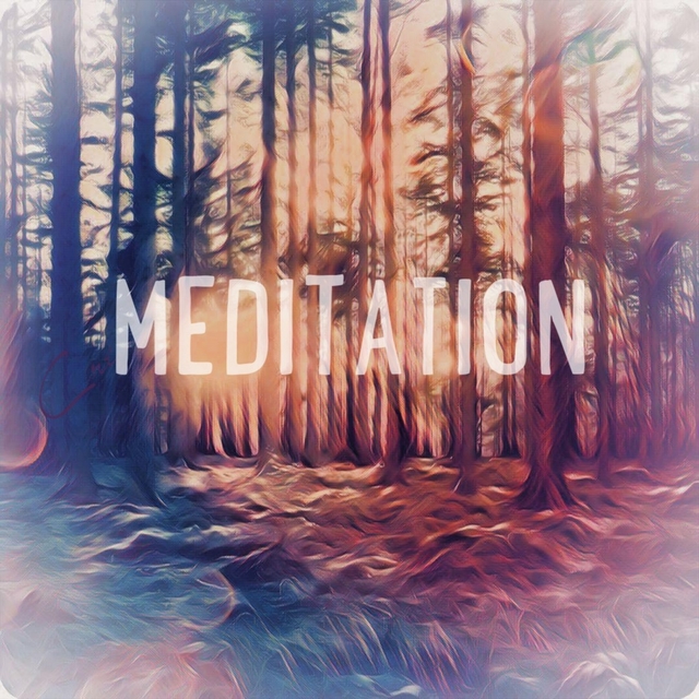 Couverture de Meditation