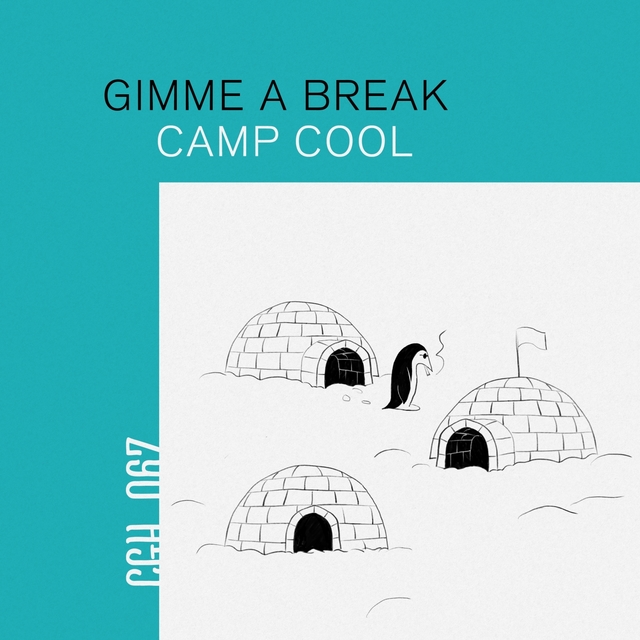 Couverture de Camp Cool