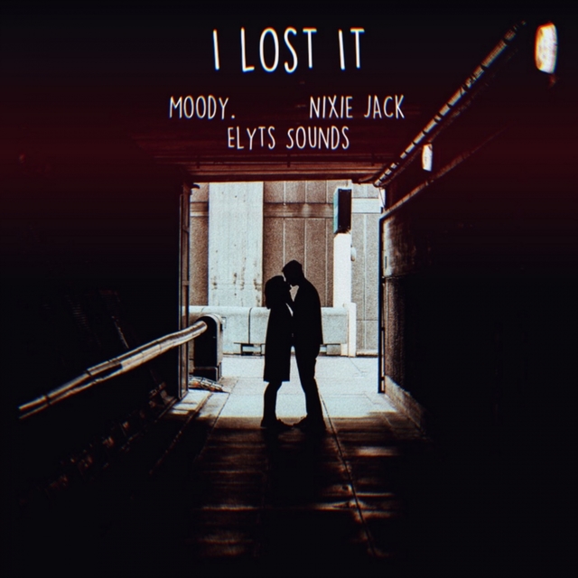 Couverture de I Lost It (Remix)