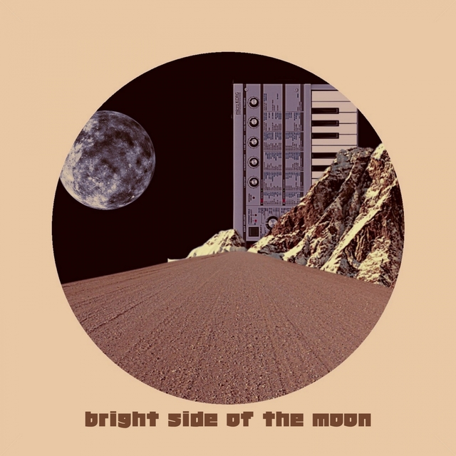 Couverture de bright side of the moon