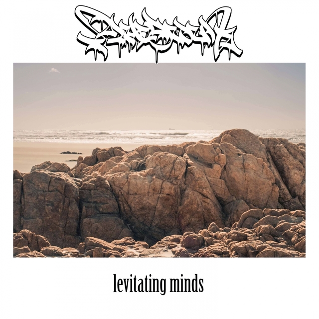 Couverture de Levitating Minds