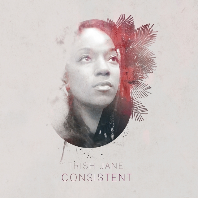 Couverture de Consistent