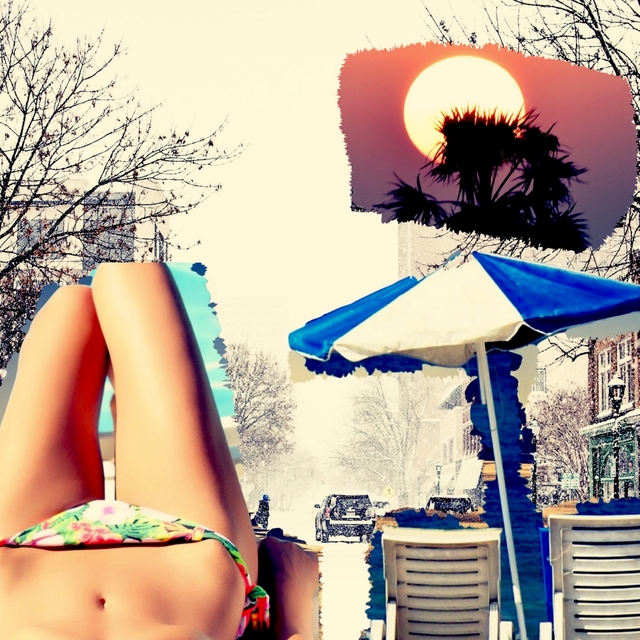 Winter Sunbathers