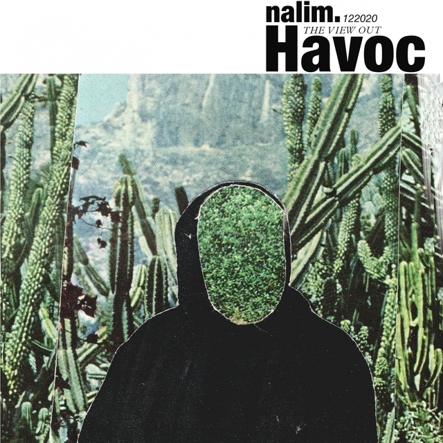 Couverture de HAVOC