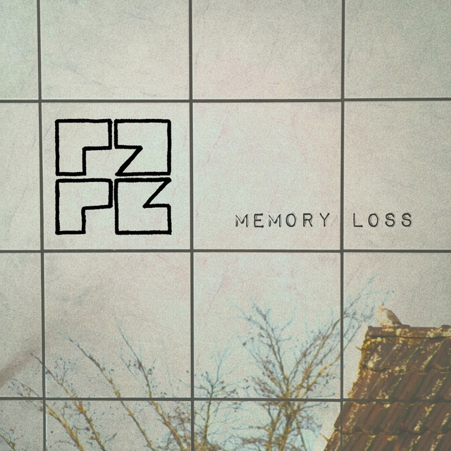 Couverture de Memory Loss