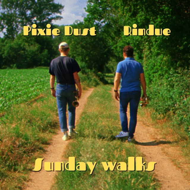 Couverture de Sunday Walks