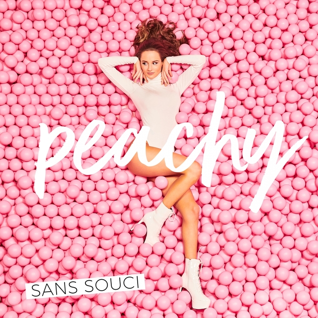 Couverture de Sans souci