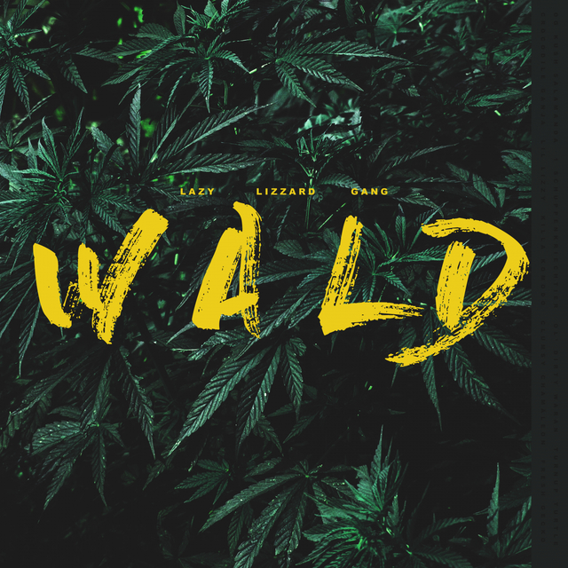 Couverture de WALD