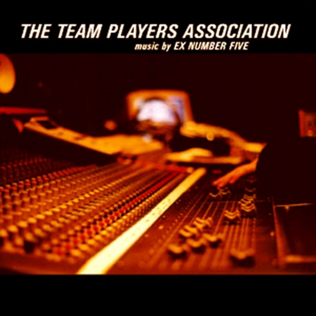 Couverture de Team Player Association