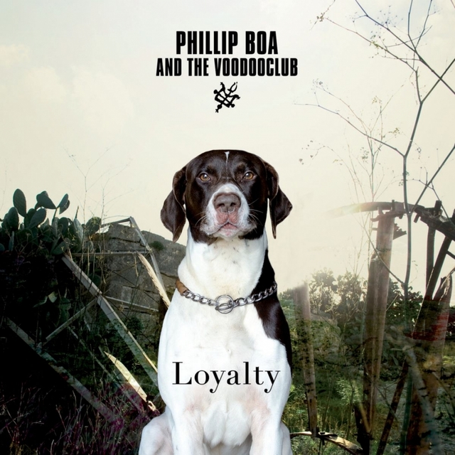 Couverture de Loyalty