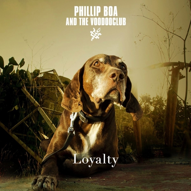 Couverture de Loyalty