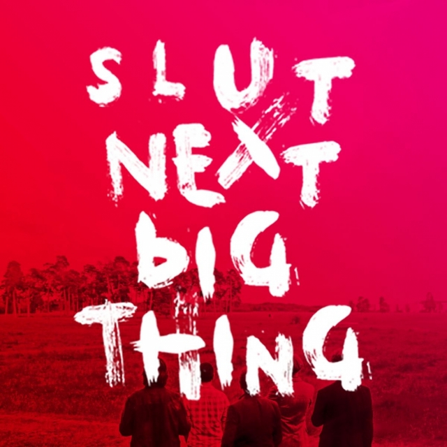 Couverture de Next Big Thing