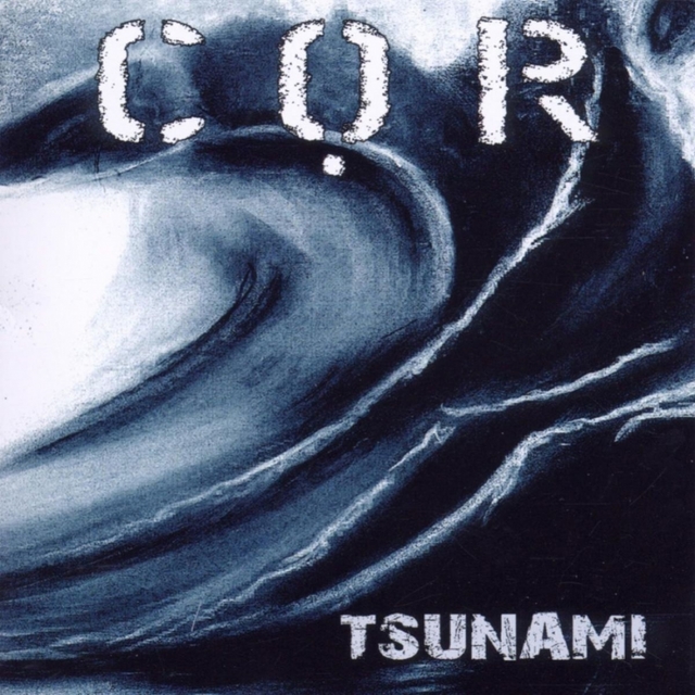 Couverture de Tsunami