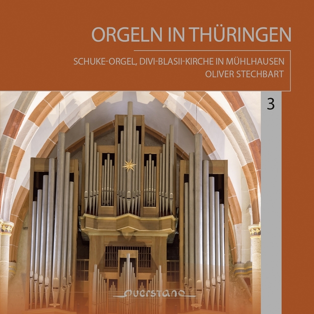 Couverture de Orgeln in Thüringen