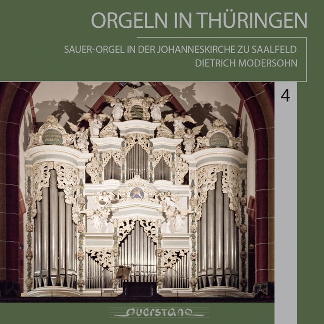 Couverture de Orgeln in Thüringen