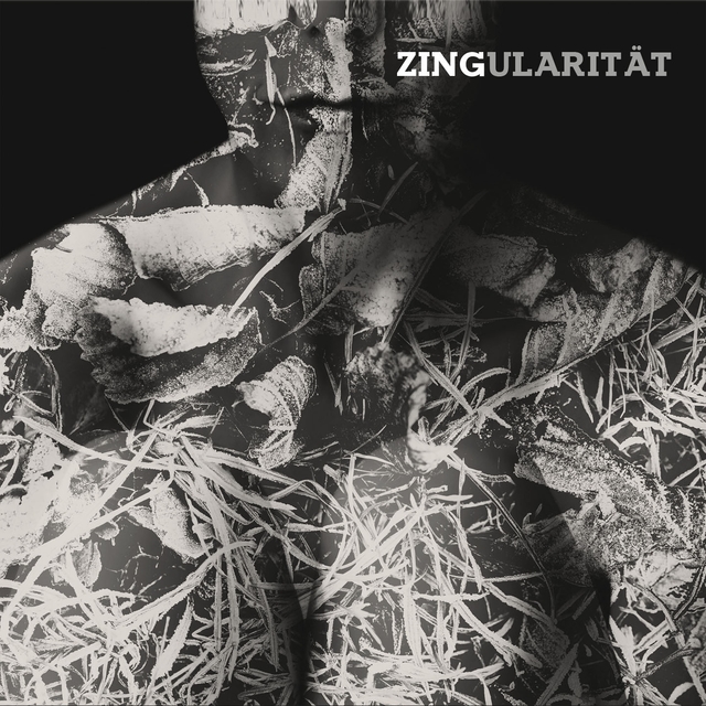 Couverture de Zingularität