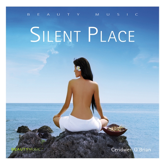 Couverture de Silent Place