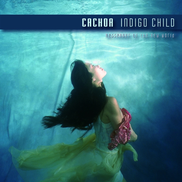 Couverture de Indigo Child