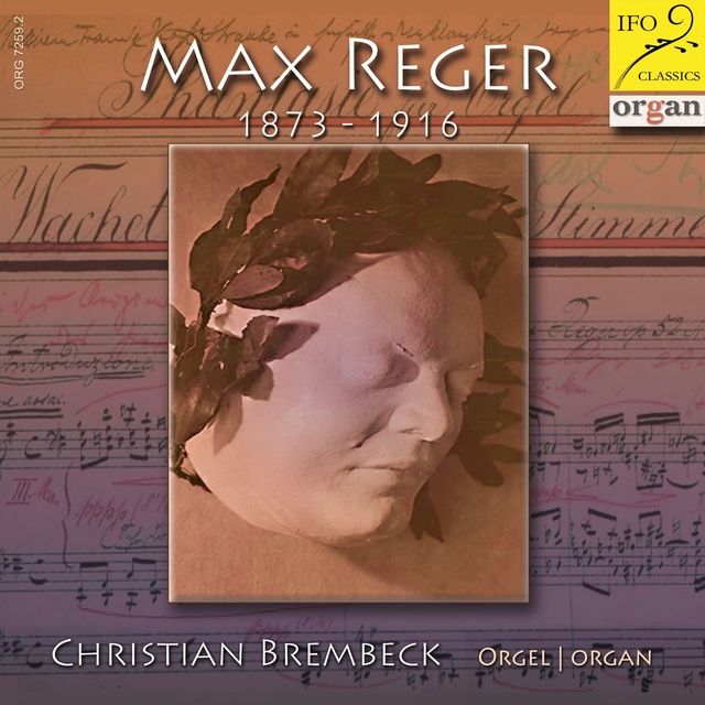 Couverture de Max Reger: Zum 100. Todestag
