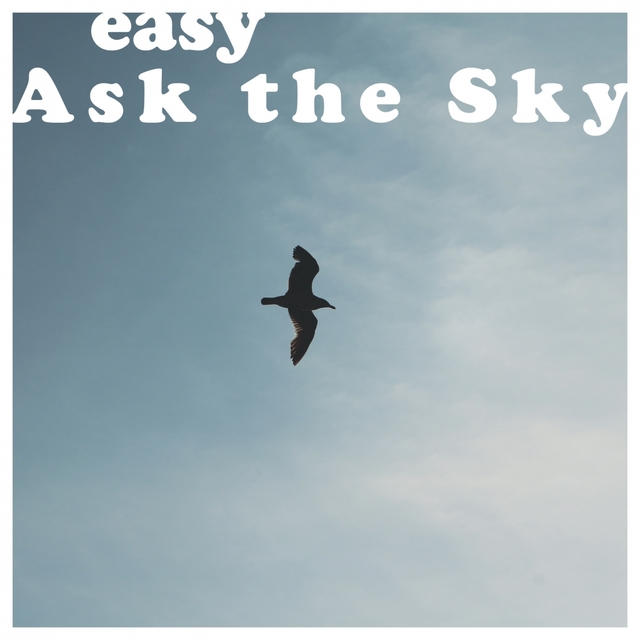 Couverture de Ask the Sky