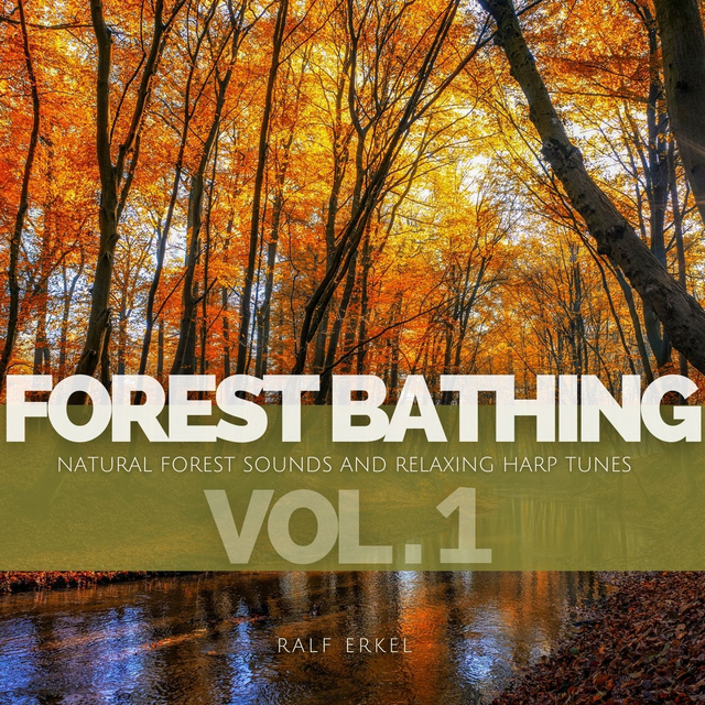 Couverture de Forest Bathing: Natural Forest Sounds And Relaxing Harp Tunes