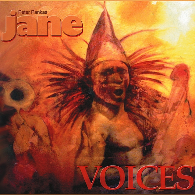 Couverture de Voices