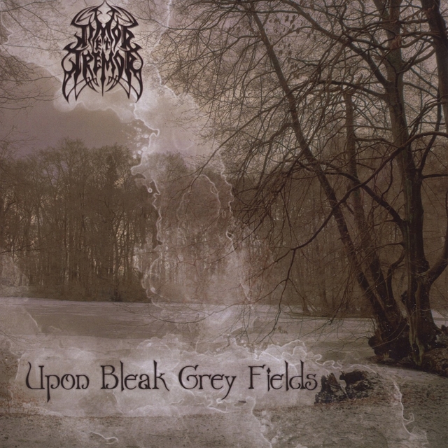 Couverture de Upon Bleak Grey Fields