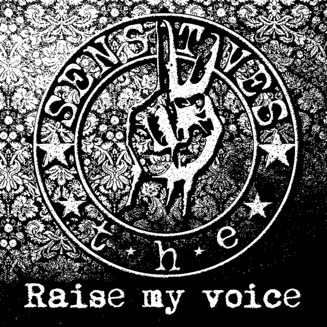 Couverture de Raise My Voice