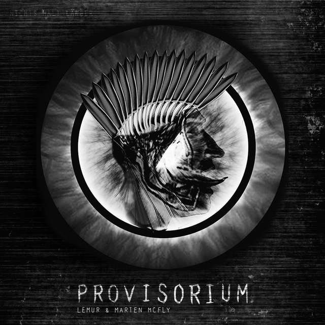 Couverture de Provisorium