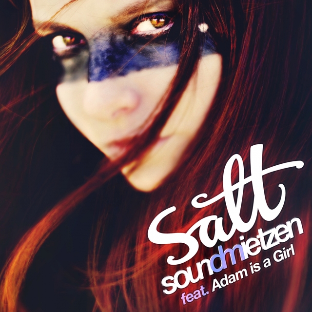 Couverture de Salt