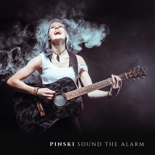 Couverture de Sound the Alarm