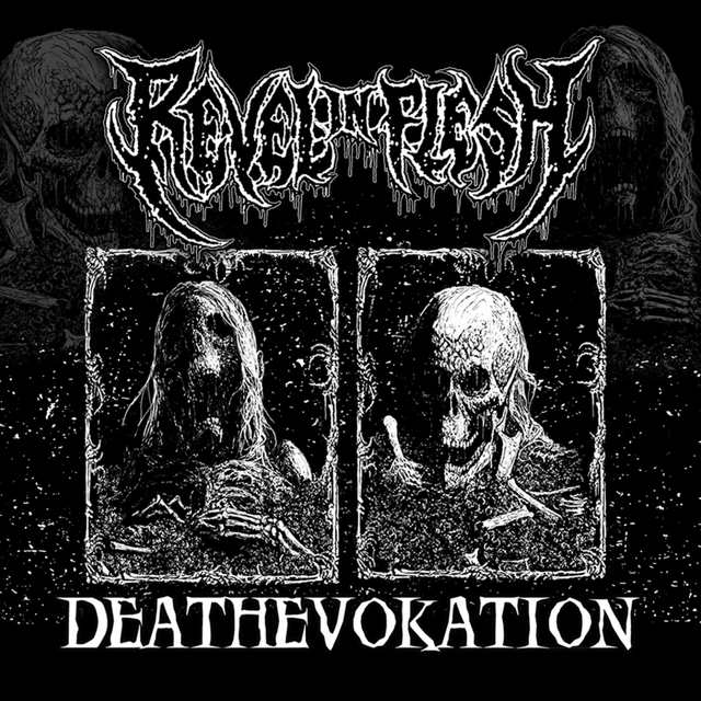 Couverture de Deathevokation