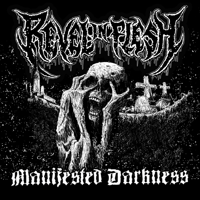 Couverture de Manifested Darkness