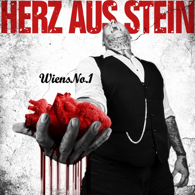 Couverture de Herz aus Stein