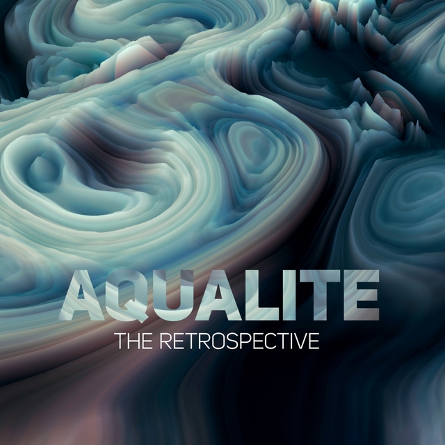 Couverture de The Retrospective