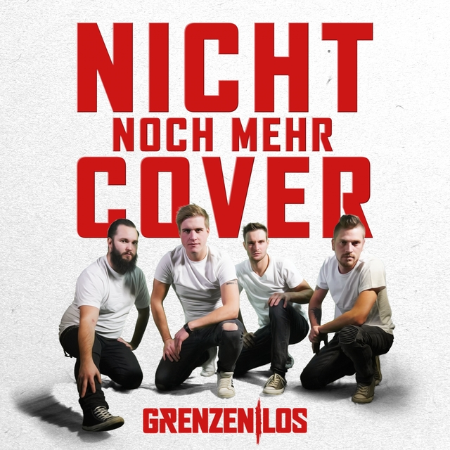 Couverture de Nicht noch mehr Cover